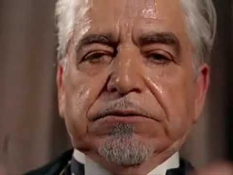 MONDO CANE (2) Opera a base di schiaffi