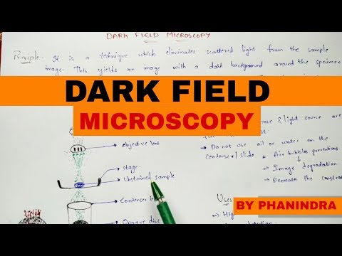 Bright Field Microscopy Principle Working Advantages and disadvantages