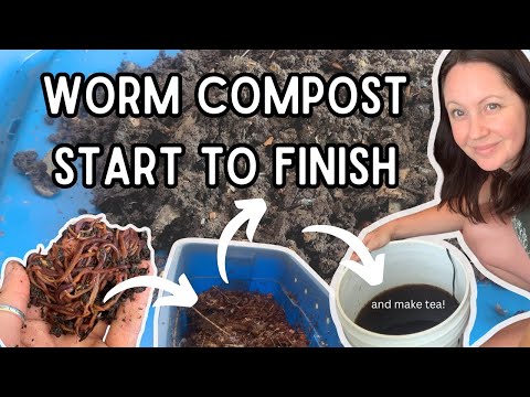 Worm Composting! How to make a worm bin, harvest the castings and make worm tea fertilizer