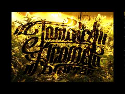 BOZER - Jamaica Aroma (T2F)