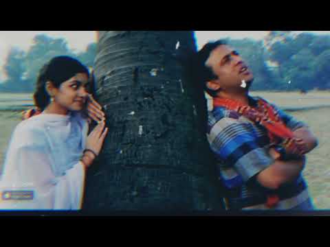 তোমারে দেখিলো পরানো ভরিয়া  | Tomare Dekhilo By Habib & Nancy