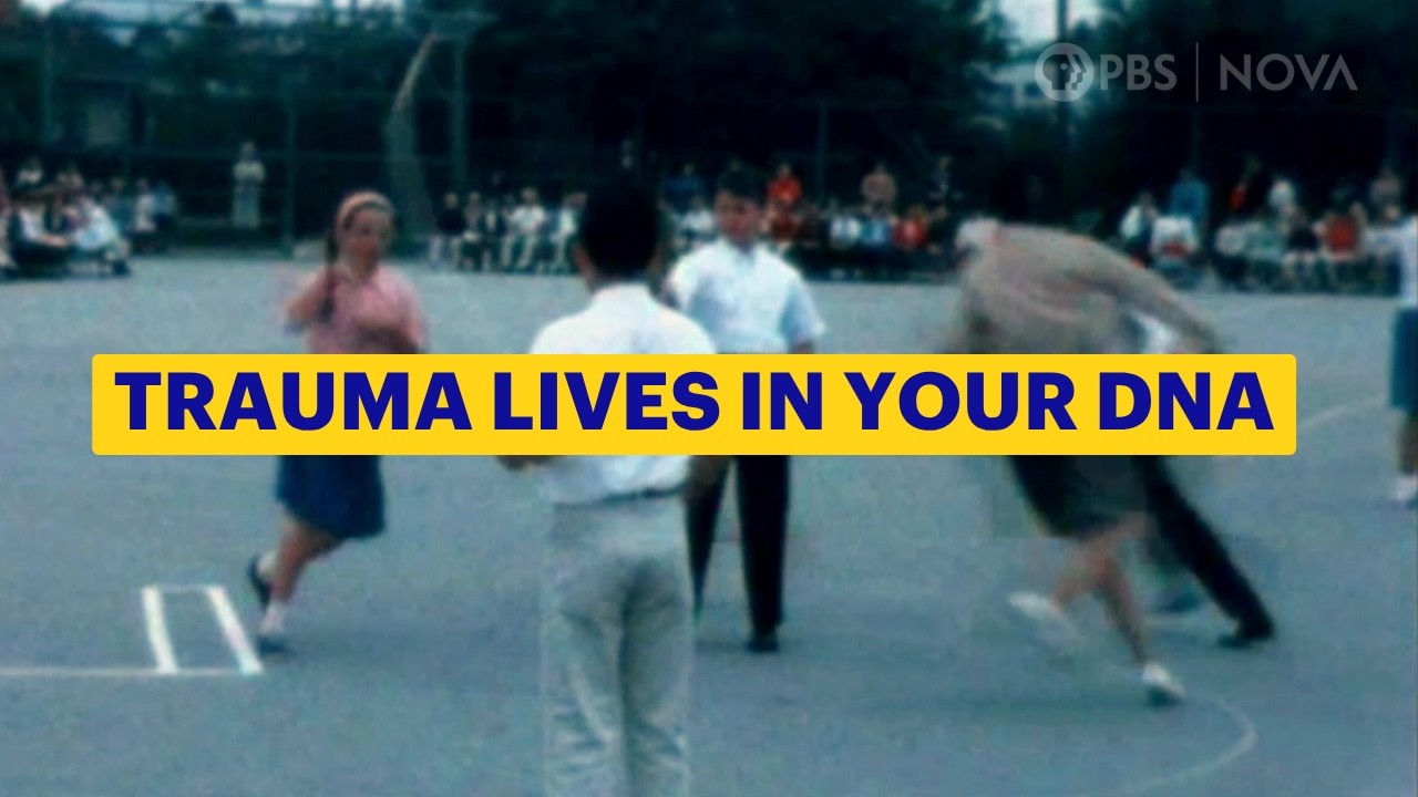 How Trauma Gets Passed to the Next Generation | NOVA | PBS