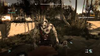 Dying Light - Zombie (Breed 77)