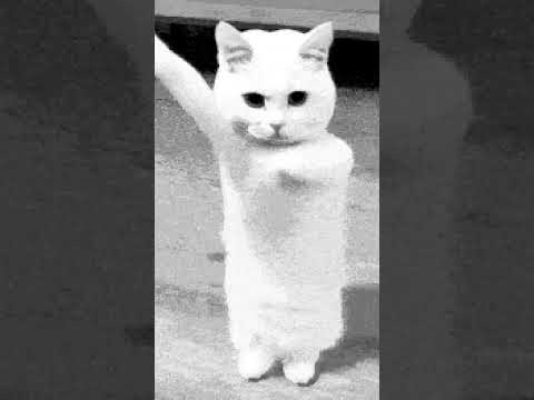 gyhchjhh. vfgyicujh. jkmjuj. ijnnh. ujnkh. UK. jk. jk. jn nj. k. kn.