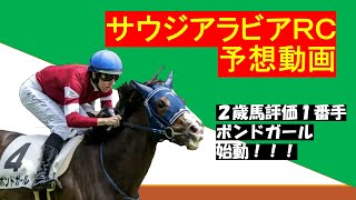 【サウジRC2023】注目2歳馬遂に激突！！クラシックに向けた重要な１戦