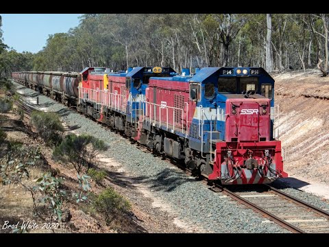 Triple SSR P's on 9098 Elmore grain at Huntly- 14/12/20