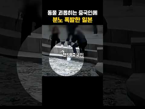 동물 괴롭히는 중국인에 분노 폭발한 일본 ㄷㄷ