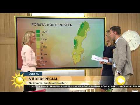 Första höstfrosten på ingång - Nyhetsmorgon (TV4)