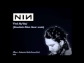 Nine Inch Nails, Find My Way (Oneohtrix Point ...