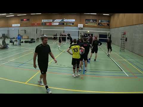 Livo H1 l  Gemini H1 l 8 2 26