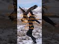 Nothing can break me anymore By Calen ward Reposted sound track music By Enoude Georges Metta AI
