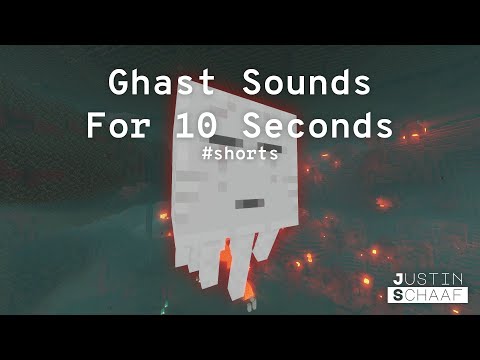 Justin H. Schaaf - 10 seconds of Ghast Crying Sounds // Minecraft #Shorts