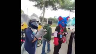 Cover art for furry indonesia solid, solid, solid (Indonesian Meme)