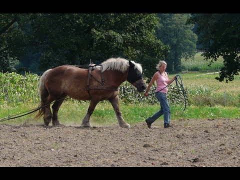 CSA Hof Pente - Landpartie