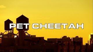 PET CHEETAH - TWENTY ONE PILOTS (Lyric Video)