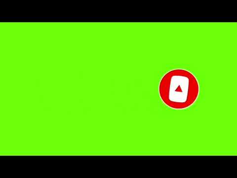 Bonsái Pyracantha coccinea