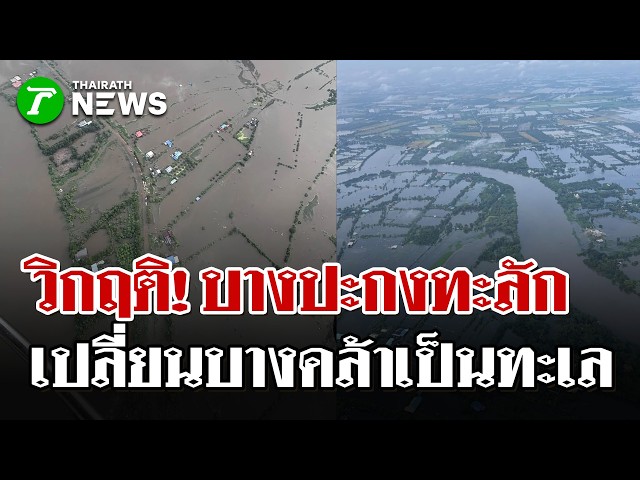 ฉะเชิงเทราน่วม! บางคล้าท่วมมิดหัว ฝนเทซ้ำคลื่นซัดบ้านพังยับ! | 5 ต.ค. 69 | ไทยรัฐนิวส์โชว์