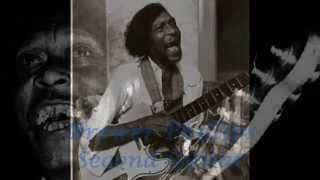 Hound Dog Taylor & The Houserockers ~  ''Sadie''  1973