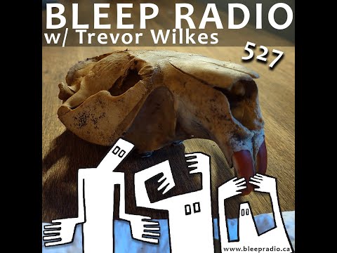 Bleep Radio #527 w/ Trevor Wilkes [Electro Run Amok]