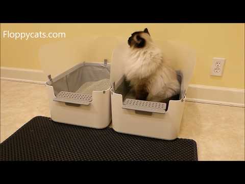 Blackhole Litter Mat XL Product Review Video - Large Cat Litter Trapper Mat