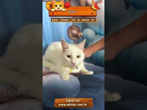 Vídeo de Heitor 