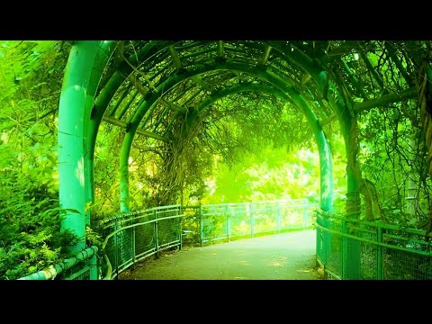 4G’s ft. Monnie Mosbergh (prod. By Foolie$urfin) OFFICIAL MUSIC VIDEO