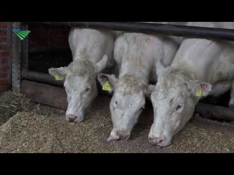 Boer lucht hart op Facebook over kapot bierblikje in wei