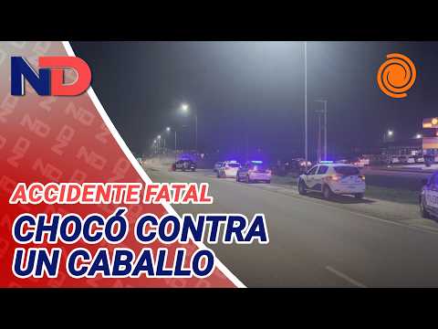 Motociclista MURIÓ tras CHOCAR contra un CABALLO en Córdoba: su acompañante está gravísimo