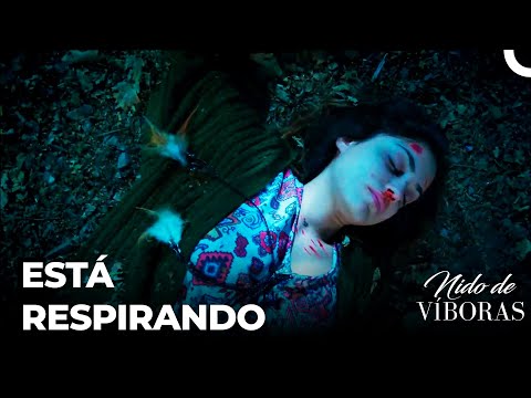 Señal De Vida De Sebnem - Nido De Víboras Capitulo 34 (Dobladas en Español)