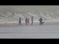 Suspected dog fight Ainsdale Beach