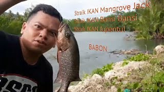 preview picture of video 'Mancing dapat ikan besar broo'