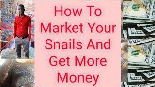 How To Market Your Snails And Get More Money