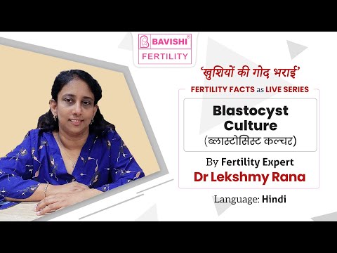 Blastocyst Culture — Dr. Lekshmy Rana