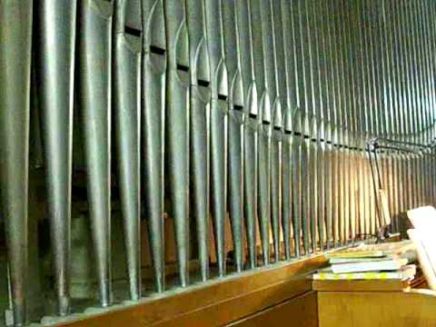 Benedetto Marcello - Salmo XVIII Dedico questo video a Renzo e Pier Paola Bailo