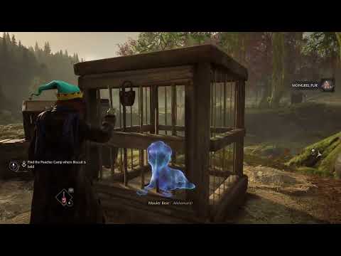 Hogwarts Legacy PS5 Walkthrough Gameplay Part 27