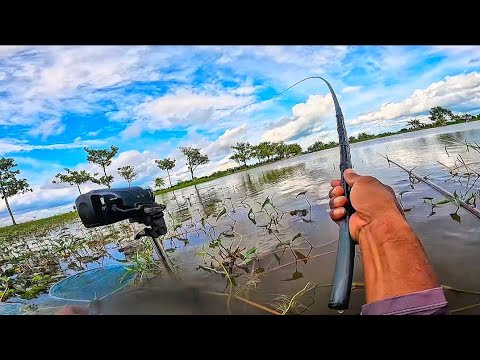 Be prepared to get a scoop if you fish at this spot