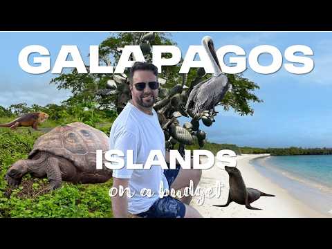 The Galápagos Islands on a Budget 🇪🇨