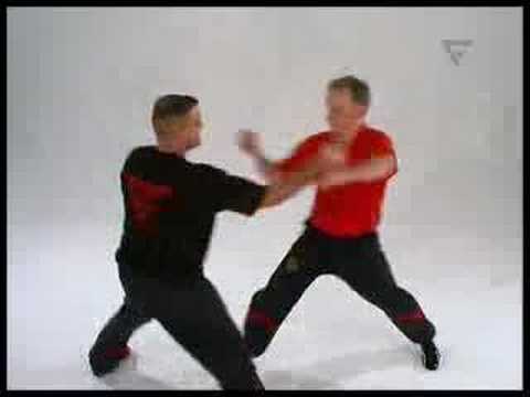 WT Lehr-DVD 3 Trailer von Sifu Niko