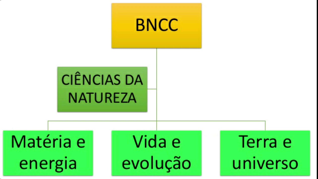 A BNCC DE CIÊNCIAS NO ENSINO FUNDAMENTAL