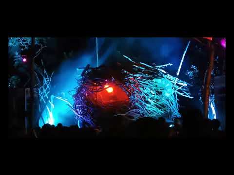 ZikOre live at Drops 2022