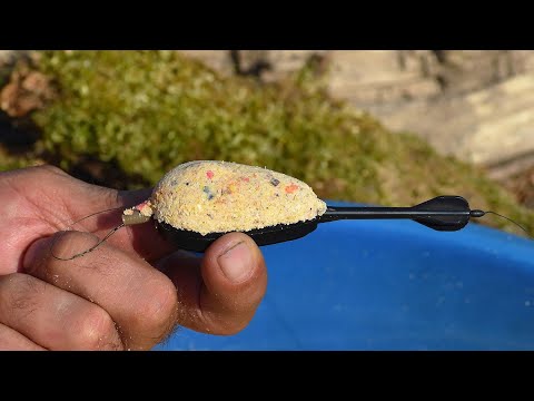 Rybolov method feeder technikou na divoké ryby v zime