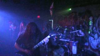 Decrepit Birth - A Gathering of Imaginations.MTS