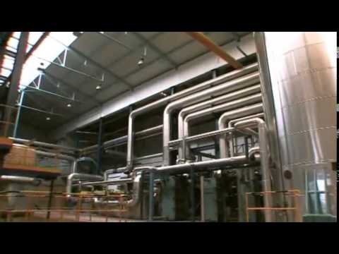 Jak powstaje biały cukier