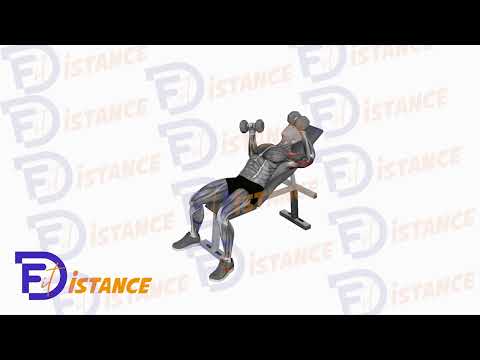 Exercice Développé couché incliné alterné avec haltères