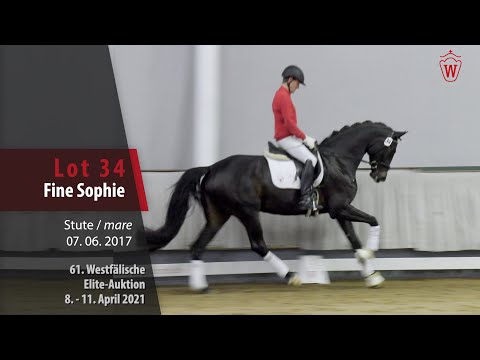 61. Elite-Auktion Trainingsvideo Lot 34 Fine Sophie Stute v. For Romance - Sir Donnerhall I