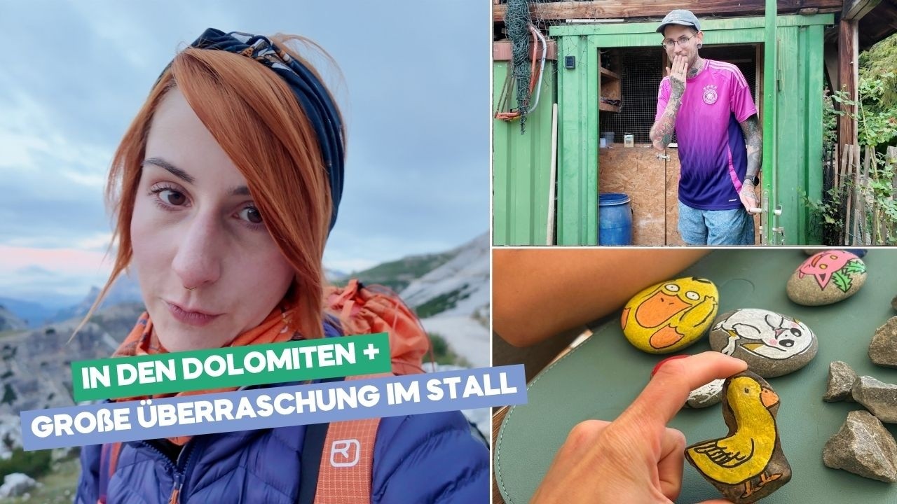 Klettern in den Dolomiten | Große Überraschung im Stall | Süße Bastellei mit Kind | Weekly Vlog