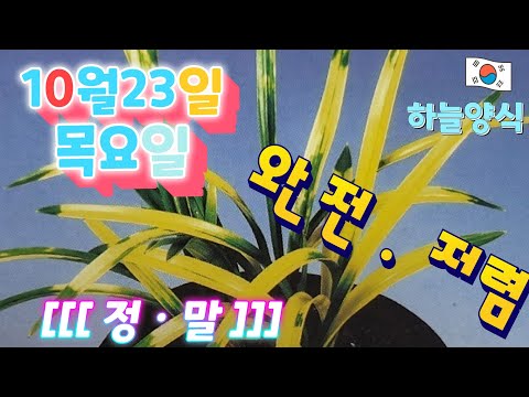 유튜브 썸네일
