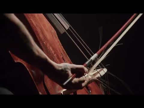 Wojtek Mazolewski [double bass short performance]