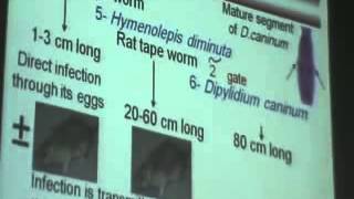 Dr Azza 8 16 11 2014   YouTube1