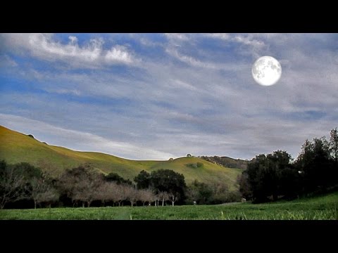 Gardening By The Phases Of The Moon aka Lunar Gardening!